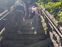 -汤旺河林海奇石景区