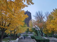 -玲珑塔公园