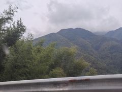 -大围山国家森林公园