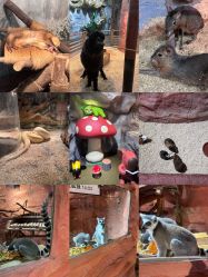 -Zoolung Zoolung动物主题公园(海信广场店)