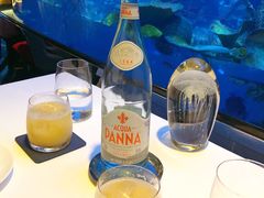 -迪拜帆船酒店海底餐厅