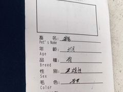-申普宠物医院·心脏介入·心血管微创(总院)