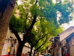 -炒豆合作社(东四总店)