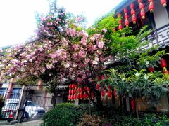 -钦善斋(武侯祠店)