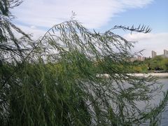-东湖景区