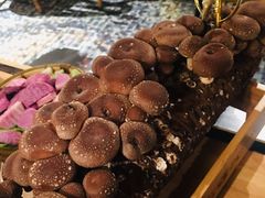 -大头椰·椰子鸡火锅(南宁万象城店)