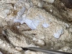 -吉英盐焗鸡(文中路店)