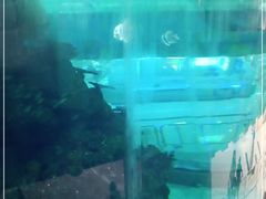 -鸿通城购物中心