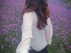 -大塘金香草谷