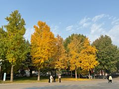-中国政法大学(昌平校区)