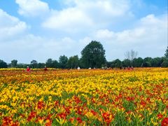 -汉长安城未央宫国家考古遗址公园