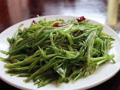 炒海菜-苍洱春饭店