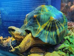 -上海海洋水族馆