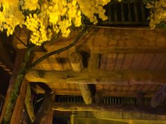 -横店影视城梦幻谷园区