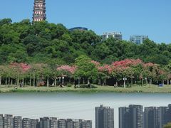 -顺峰山公园