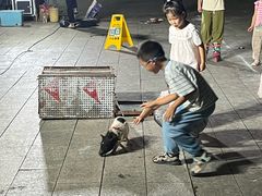 -门城湖公园