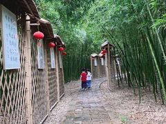 -同里国家湿地公园