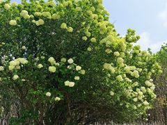 -宜兴龙背山森林公园