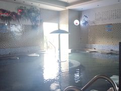 游乐设施-丰顺宝丰酒店温泉