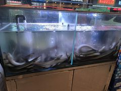 -本炙炭烤·蒲烧活鳗料理店(金沙洲店)