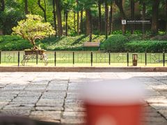 -申粤轩酒楼·三十年粤菜经典(丁香花园店)