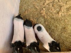 -嘉兴清池酒店温泉