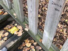 -帽儿山国家森林公园