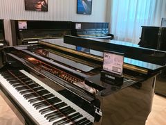 -雅歌音乐培训中心·钢琴培训·乐器培训(交道口店)