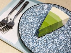 -王守财小山園
