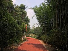 -广州市干部健康管理中心