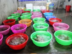 -幸福姐海鲜大排档