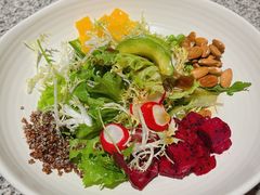 橄榄油黑醋大拌菜-真地道京味府·鲜橙烤鸭·北京菜(朝阳公园·甜水园店)