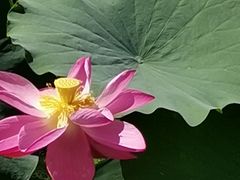 -滨河世纪广场公园