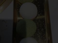 -聚十三烤肉博物馆(魔都首店)