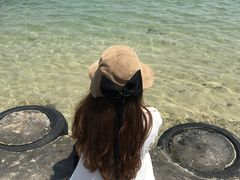 -杨梅坑