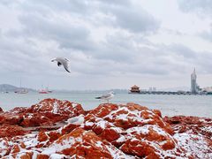 -栈桥景区