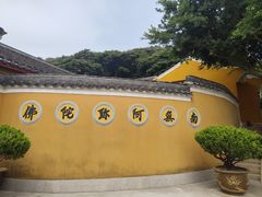 -珞珈山-售票处