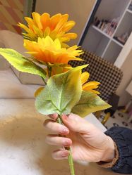 -MONICA BOX美甲美睫