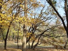 -国家植物园南园