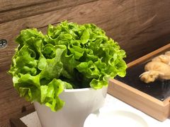 叶生菜-串一火锅(赛格国际购物中心店)
