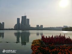 -天鹅湖体育公园