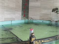 -楚鱼王·河鲜·湖北菜(华农店)