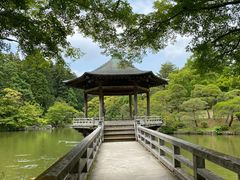 -成田山新胜寺