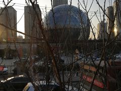 -陕西自然博物馆