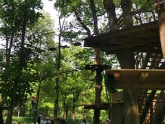 -紫金山山顶公园