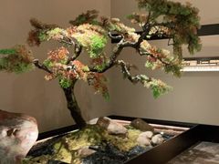 -湘上湘(米其林餐厅-正大中心总店)