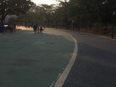 -东莞植物园