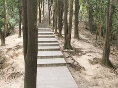 -火炉山森林公园