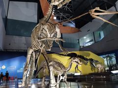 -湖南省地质博物馆