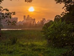 -华侨城湿地公园